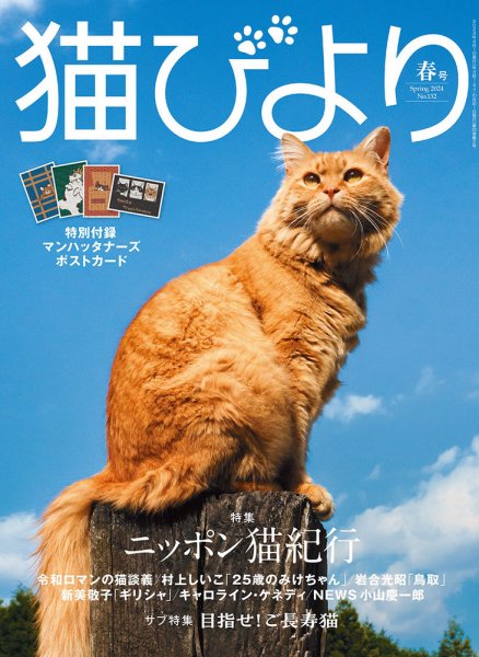 猫びより 猫びより 春号 (発売日2024年03月12日) | 雑誌/定期購読の