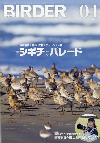 BIRDER（バーダー）の最新号【2024年4月号 (発売日2024年03月15日