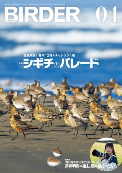 BIRDER（バーダー） 2024年4月号 (発売日2024年03月15日) 表紙