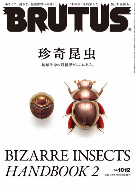 BRUTUS(ブルータス) 2024年8/1号 (発売日2024年07月16日) 表紙