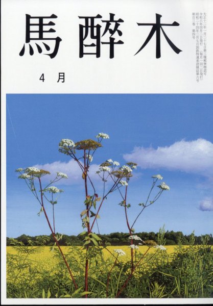 馬酔木 2024年4月号 (発売日2024年03月23日) 表紙