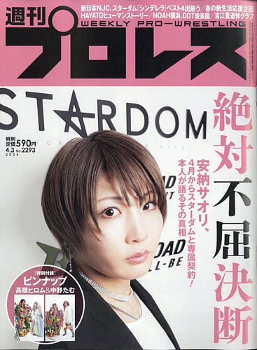 プロレス 雑誌 発売 販売 日