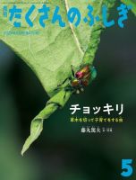 たくさんのふしぎ 2024年5月号 (発売日2024年04月03日) 表紙