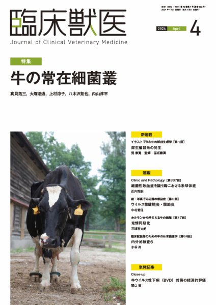 臨床獣医 2024年4月号 (発売日2024年04月01日) 表紙