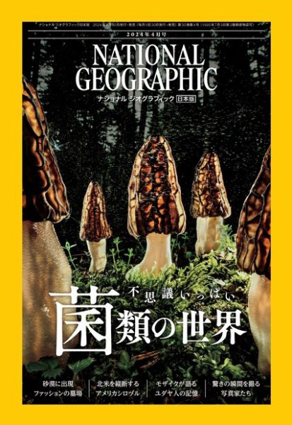 ナショナル ジオグラフィック日本版 2024年4月号 (発売日2024年03月29日) 表紙