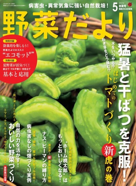 野菜だより 2024年5月号 (発売日2024年04月03日) 表紙