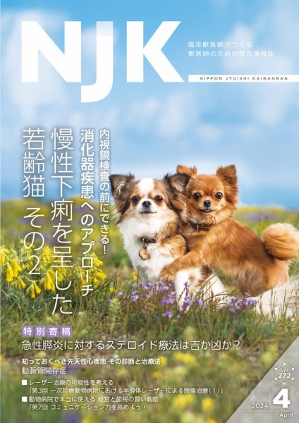 NJK Vol.272 (発売日2024年04月01日) 表紙