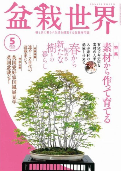 盆栽世界 2024年5月号 (発売日2024年04月04日) 表紙