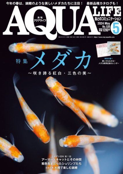 アクアライフ（月刊雑誌）まとめ売り アクアライフ 4月号 (発売日2025年03月11日) | 雑誌/電子書籍/定期購読