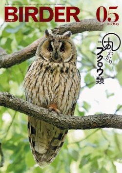 BIRDER（バーダー） 2024年5月号 (発売日2024年04月16日) 表紙