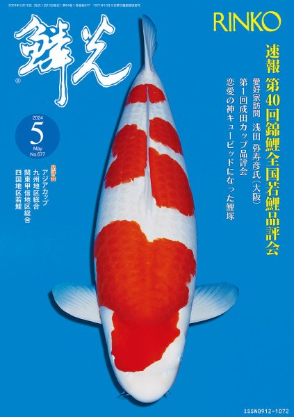鱗光 2024年04月15日発売号 表紙