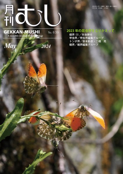 月刊むし 639 (発売日2024年04月20日) 表紙