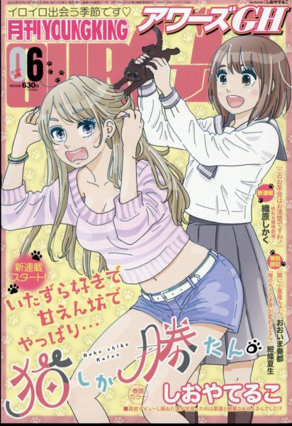 YOUNG KING OURS ＧＨ (ヤングキングアワーズ) 2024年6月号 (発売日2024年04月16日) 表紙