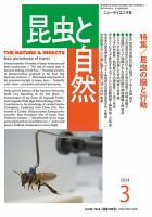 昆虫と自然 2024年3月号 (発売日2024年02月22日) 表紙