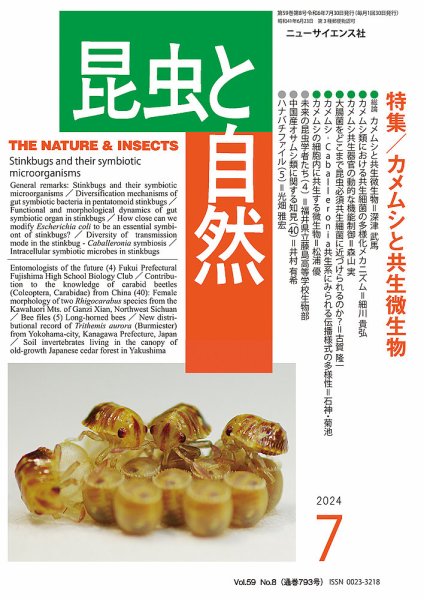 昆虫と自然 2024年7月号 (発売日2024年06月21日) 表紙