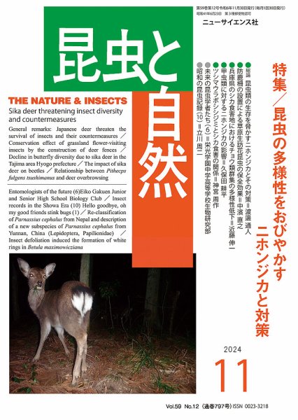 昆虫と自然 2024年11月号 (発売日2024年10月21日) 表紙