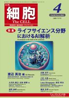 細胞 2024年4月号 表紙