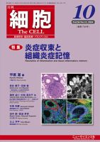 細胞 2024年10月号 表紙