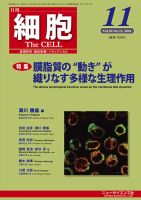 細胞 2024年11月号 表紙