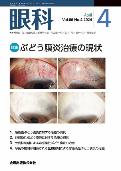 眼科 2024年4月号 (発売日2024年04月20日) 表紙
