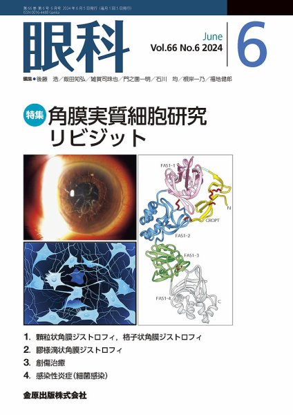 眼科 2024年6月号 (発売日2024年06月20日) 表紙