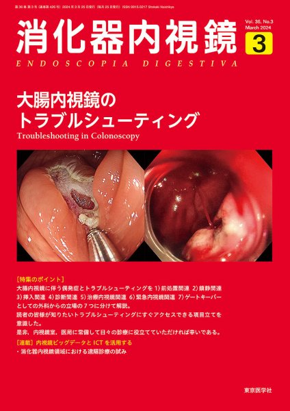 消化器内視鏡 24年3月号 (発売日2024年03月25日) 表紙