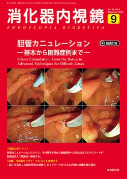消化器内視鏡 24年9月号 (発売日2024年09月25日) 表紙