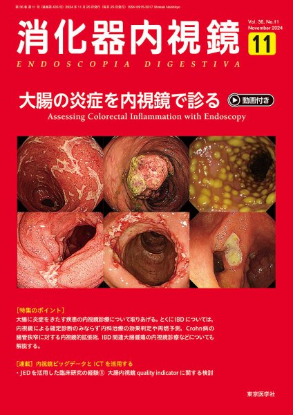 消化器内視鏡 24年11月号 (発売日2024年11月25日) 表紙