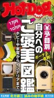 Hot-Dog PRESS（ホットドッグプレス） 2024年06月14日発売号 表紙