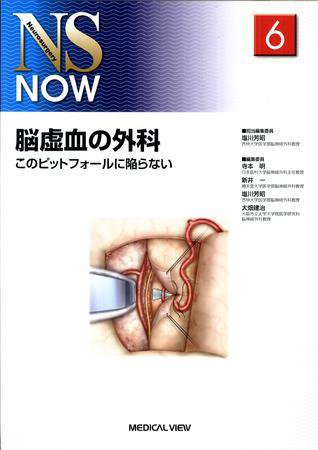 NS NOW No.6 (発売日2009年04月27日) 表紙