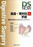 DS NOW（ディーエス ナウ） No.6 (発売日2009年07月15日) 表紙
