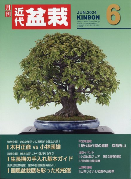 月刊 近代盆栽 2024年6月号 (発売日2024年05月02日) 表紙