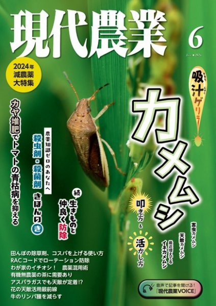 現代農業 2024年6月号 (発売日2024年05月02日) 表紙