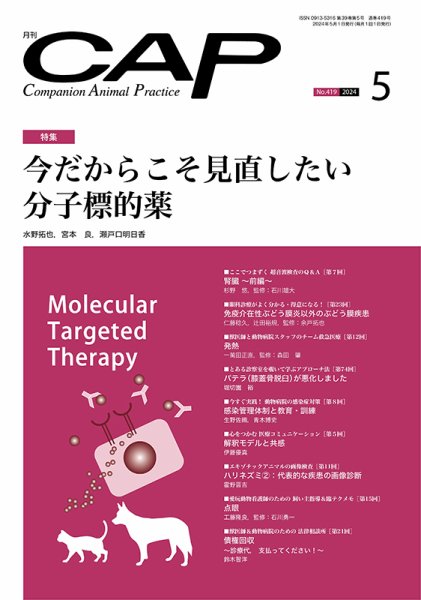 月刊CAP 2024年5月号 (発売日2024年05月01日) 表紙