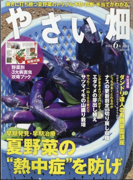 やさい畑 2024年6月号 (発売日2024年05月02日) 表紙