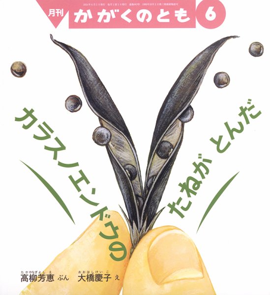 かがくのとも 2024年6月号 (発売日2024年05月02日) 表紙