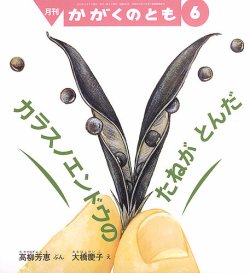 カラス の 雑誌 ストア