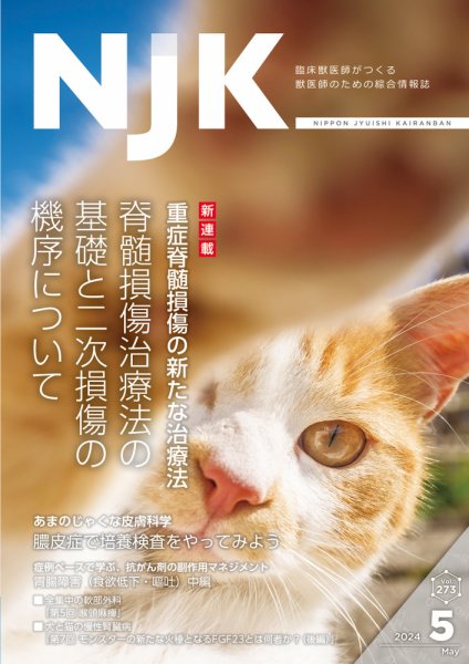 NJK Vol.273 (発売日2024年05月01日) 表紙