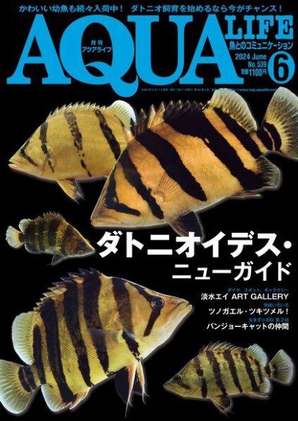 アクアライフ 6月号 (発売日2024年05月11日) 表紙