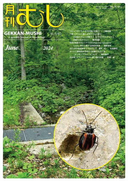 月刊むし 640 (発売日2024年05月24日) 表紙
