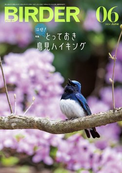 BIRDER（バーダー）｜定期購読20%OFF - 雑誌のFujisan