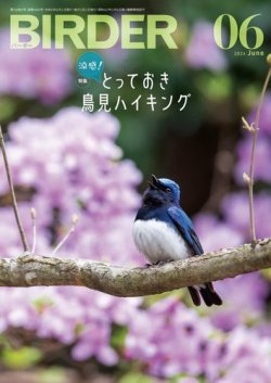 BIRDER（バーダー） 2024年6月号 (発売日2024年05月16日) 表紙