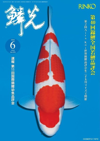 鱗光 2024年05月15日発売号 表紙