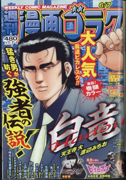 週刊漫画ゴラク 2024年6/7号 (発売日2024年05月24日) 表紙