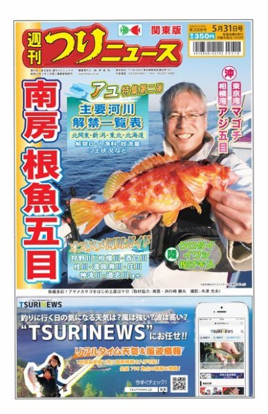 週刊つりニュース　関東版 2024年05月27日発売号 表紙