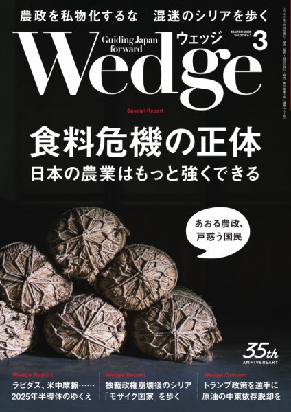 Wedge（ウェッジ） 2025年3月号 (発売日2025年02月20日) 表紙