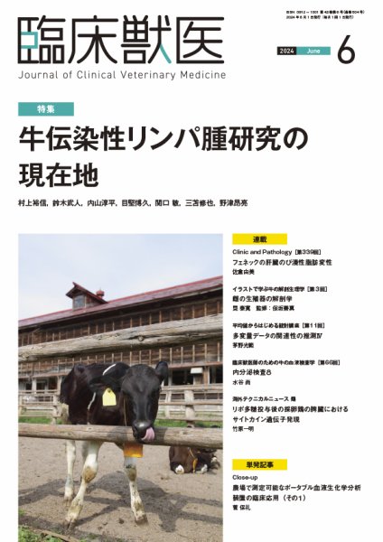 臨床獣医 2024年6月号 (発売日2024年06月01日) 表紙