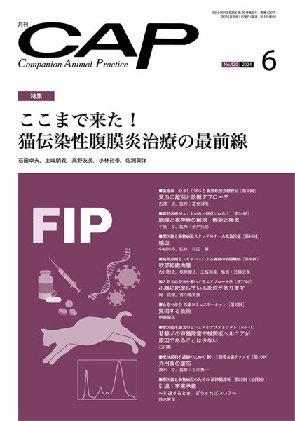 月刊CAP 2024年6月号 (発売日2024年06月01日) 表紙