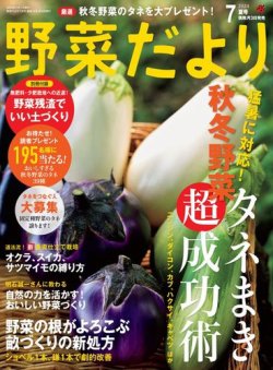 野菜だより 2024年7月号 (発売日2024年06月03日) 表紙