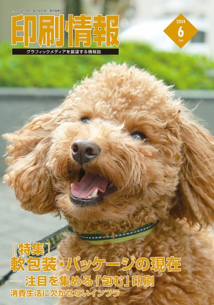 印刷情報 2024年6月号 (発売日2024年06月01日) 表紙